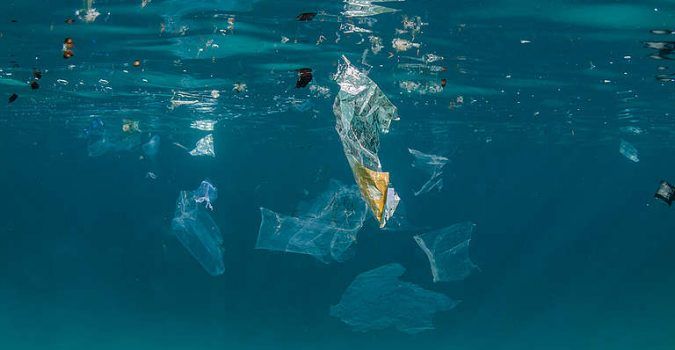 SENTINELLE DEL MARE Siracusa, promuovere il turismo anche attraverso la salvaguardia delle biodiversità marine: progetto di Confcommercio