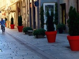 Siracusa. Green Design per abbellire le vie commerciali, insieme Comune-Confcommercio