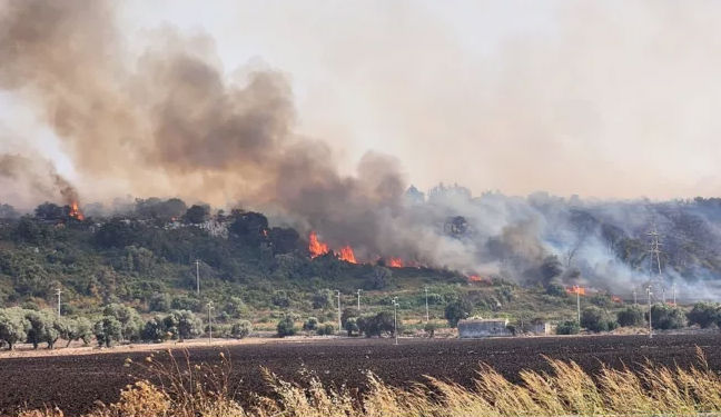 Comune di Siracusa: Segnalazione danni da incendi e ondate di calore verificatisi dal 23/07/2023