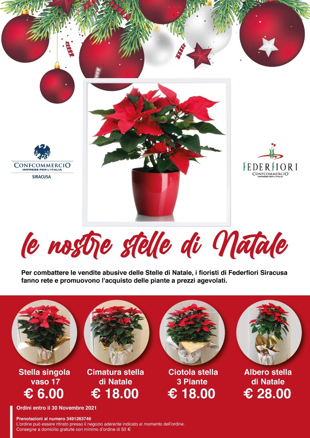 Le nostre stelle di Natale